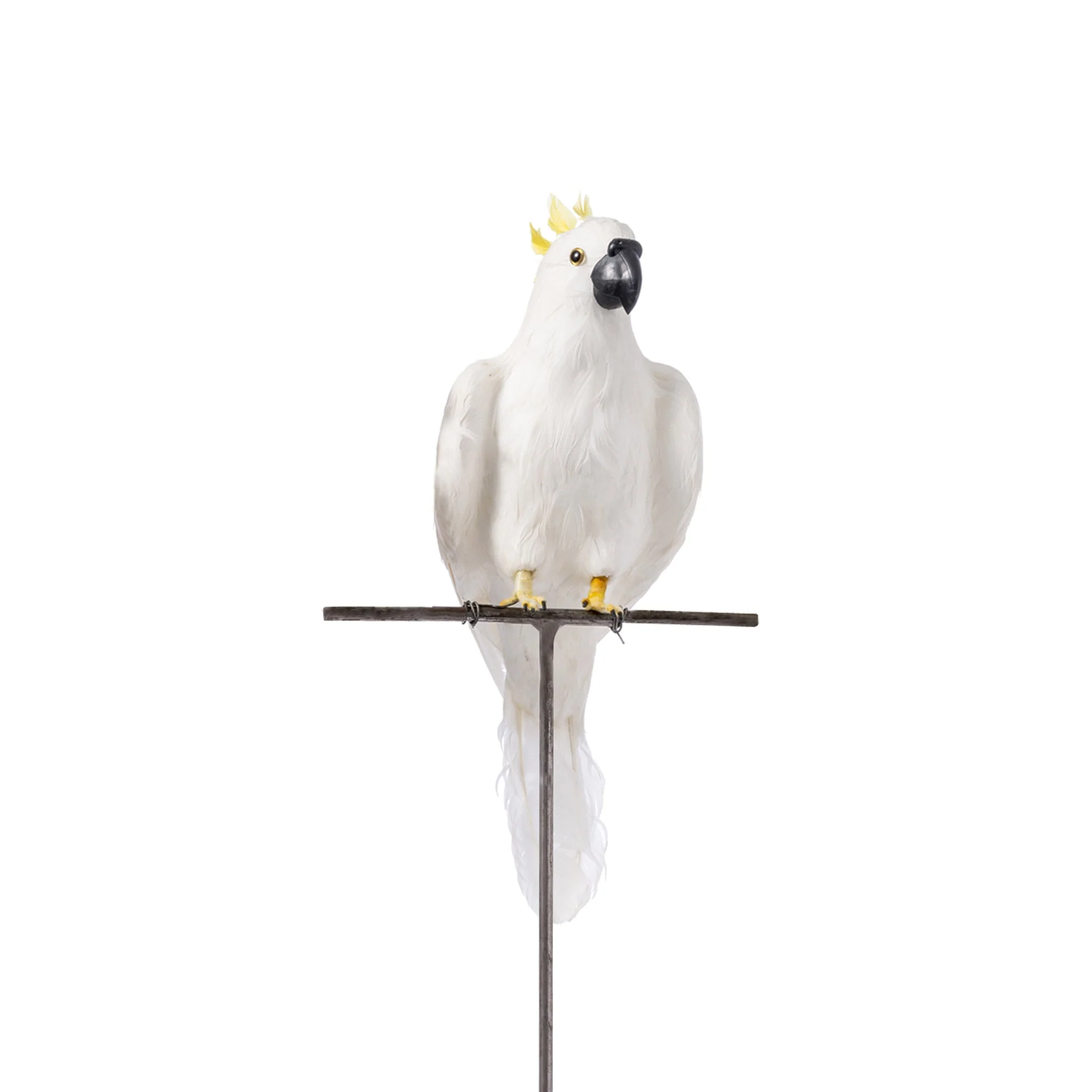 ARTIFICIAL BIRDS Parrot / Large - Image 3