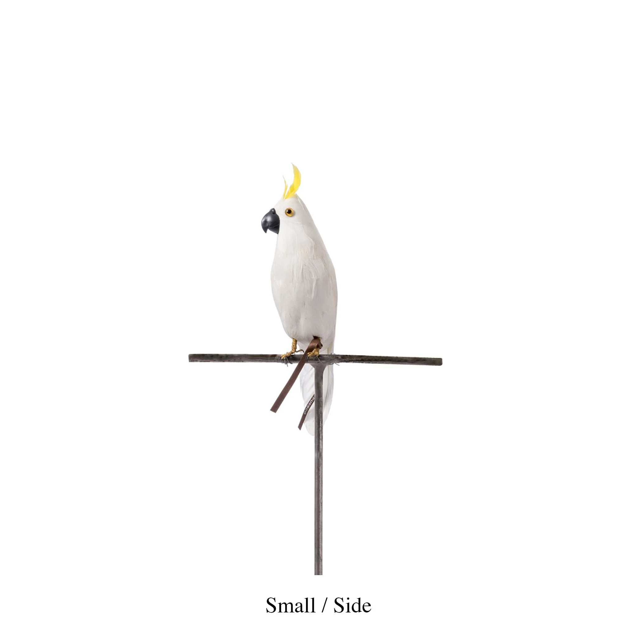 ARTIFICIAL BIRDS Parrot / Small - Image 4