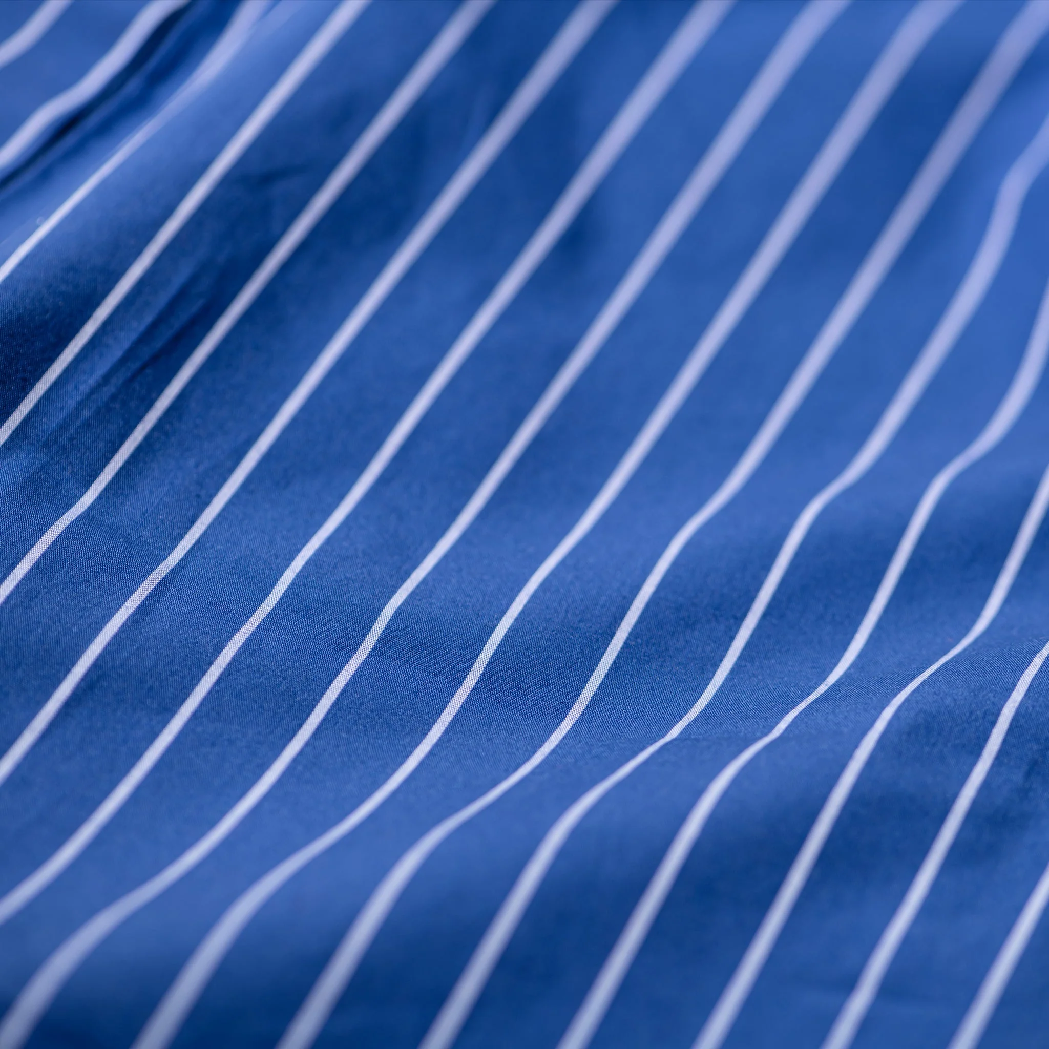 COTTON STRIPE SHIRT / REGULAR COLLAR - Image 5