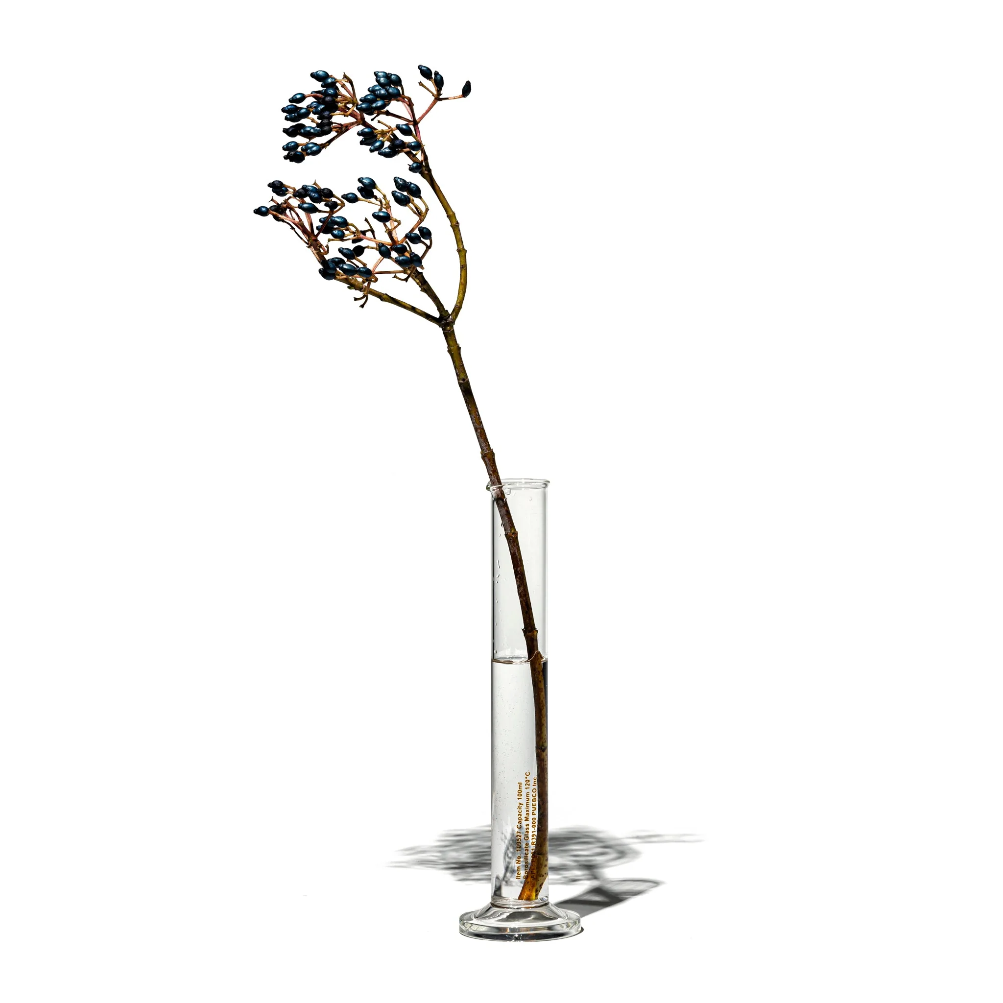 SINGLE FLOWER VASE / 100ml - Image 3